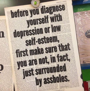 Graphic text: before you diagnose yourself with depression or low self esteem, make sure you're not surrounded by assholes.
